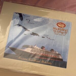 Disney Fantasy Print